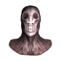 icon Zombie Survival