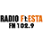 icon Fiesta FM 8.01