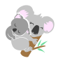 icon Babykoala