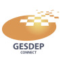 icon Gesdep Connect