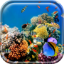 icon Aquarium Live Wallpaper