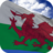 icon Wales Flag 4.5.7