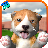 icon Dog Simulator 2015 1.2