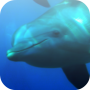 icon Sea Fun Games – free
