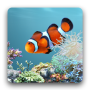 icon aniPet Aquarium LiveWallpaper