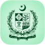 icon Visa Check Online Pakistan