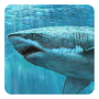 icon Shark 3D Live Wallpaper