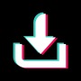 icon Video Downloader For TikTok