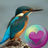 icon Colorful Hummingbirds 1.13.8