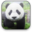 icon Panda Video Wallpaper 1.4