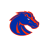icon Boise State Broncos Athletics 172.17.2