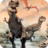 icon Dinosaurs Match Up Game 1.02