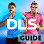 icon DLS Guide
