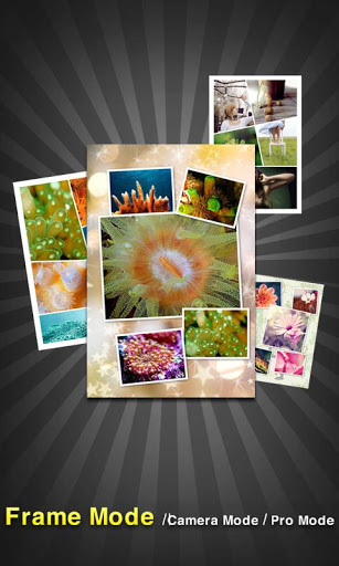 PicFrame - Collage de fotos
