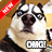 icon Funny Dog Pictures 1.5