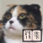 icon jp.aboutsoft.android.bunkoreader 0.55