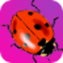 icon Cute ladybugs