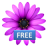 icon com.oceanicsoftware.womancalendar_turkish_free 1.4