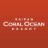 icon Coral Ocean 4.1.1