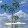 icon Palm In Tropical Island Live Wallpaper