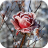 icon Frozen Flowers Live Wallpaper 1.0.3