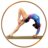 icon GYMNASTICS TRAINING 1.3