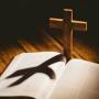 icon Amazing Bible Daily Quotes