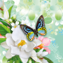 icon Butterflies Live Wallpaper