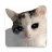 icon Stickers Cats 4.0