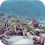 icon Oceanic Aquarium Wallpaper 3D