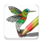 icon Colouring 2.0.118