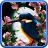 icon Sakura and Bird Live Wallpaper 1.0.7