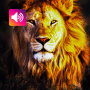 icon Lion Sounds