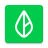 icon Branch 2025.2.0