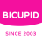 icon BiCupid 4.1.3