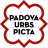 icon Padova Urbs picta 2.5