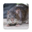 icon Bandicoot Rat Sounds 3.4.0