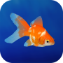 icon Goldfish